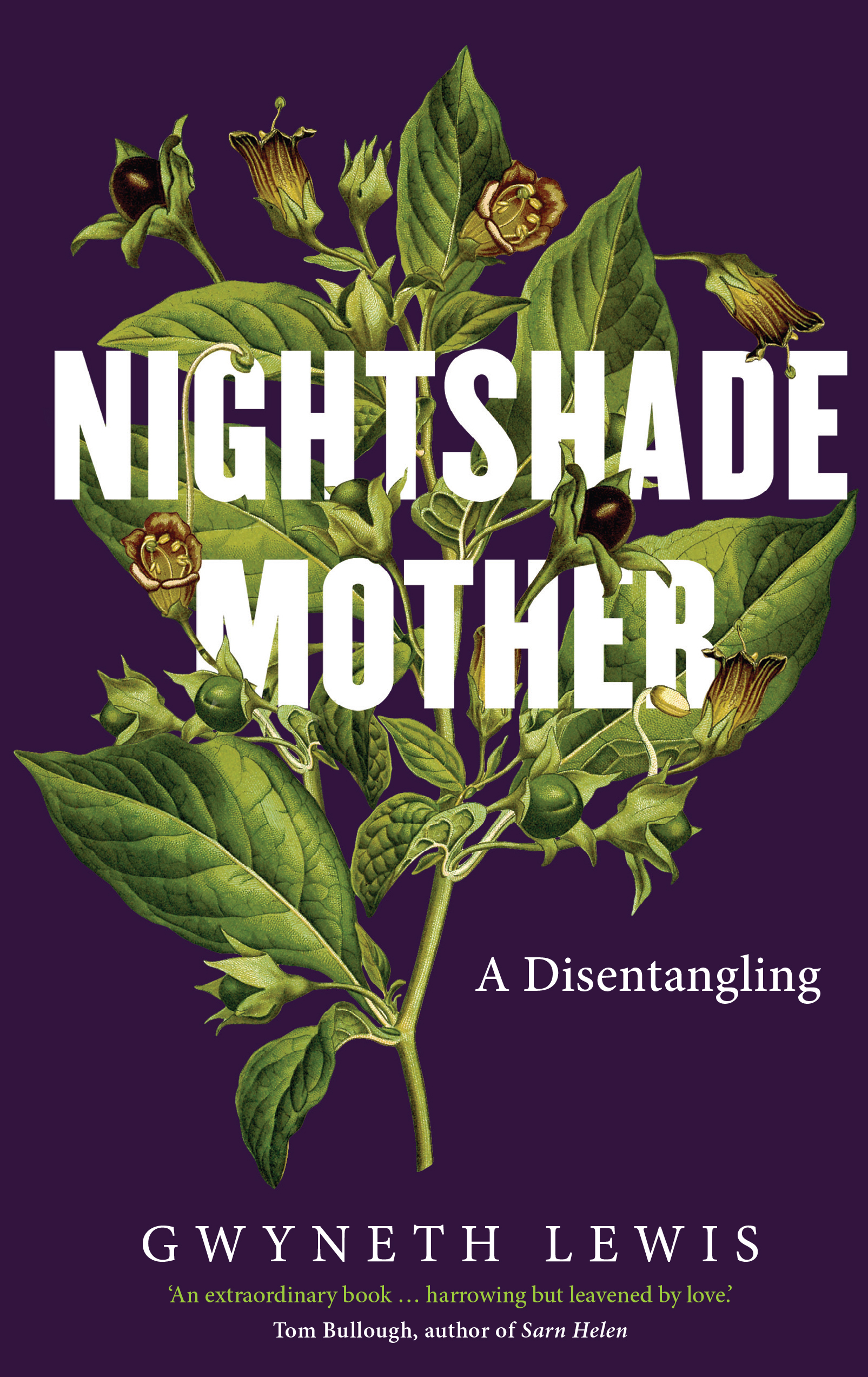 Nightshade Mother book cover